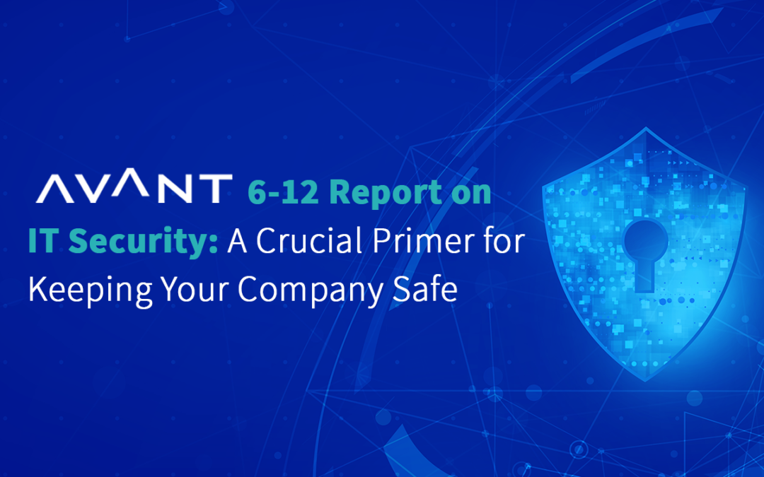 AVANT 6-12 Report on IT Security: A Crucial Primer for Keeping Your Company Safe