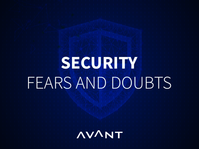Security Fears and Doubts