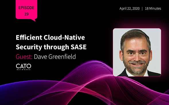 Efficient Cloud-Native Security through SASE